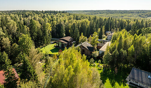 Живописный