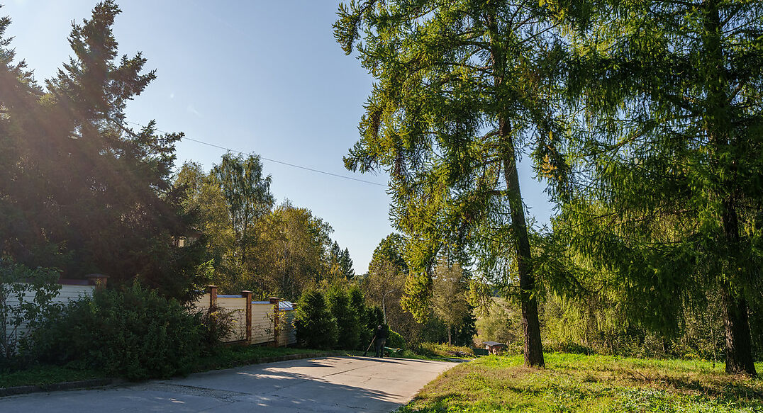 Живописный