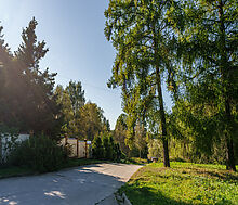 Живописный