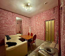 Здание с участком в ПГТ Снегири