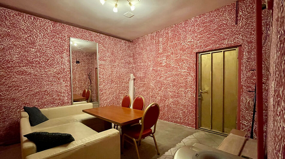 Здание с участком в ПГТ Снегири