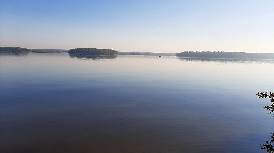 Дом у леса в п. Пестово