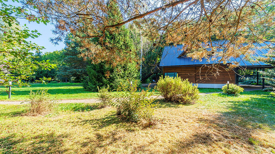 Дом у леса в п. Пестово