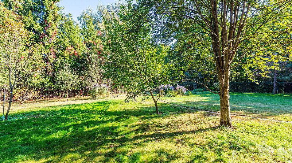 Дом у леса в п. Пестово