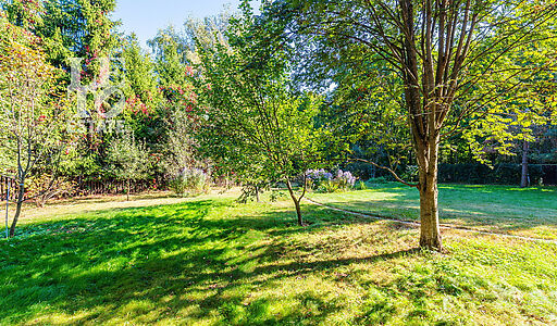 Дом у леса в п. Пестово