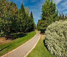 Участок в КП Миллениум Парк