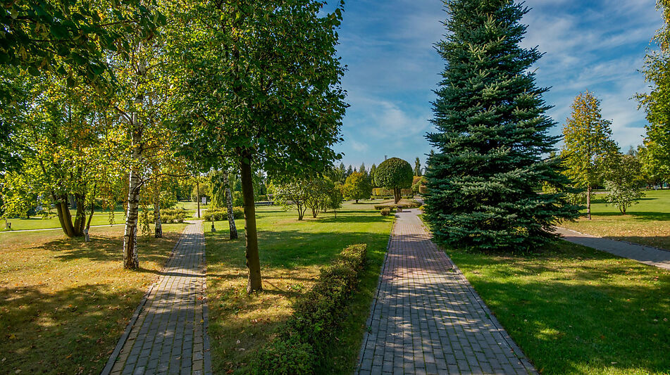 Участок в КП Миллениум Парк