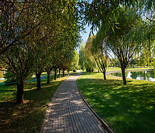 Участок в КП Миллениум Парк