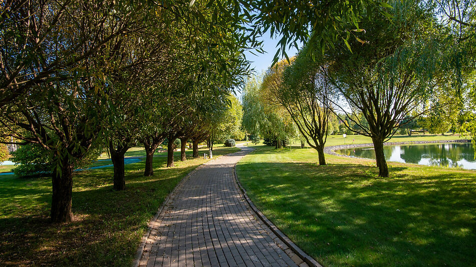 Участок в КП Миллениум Парк