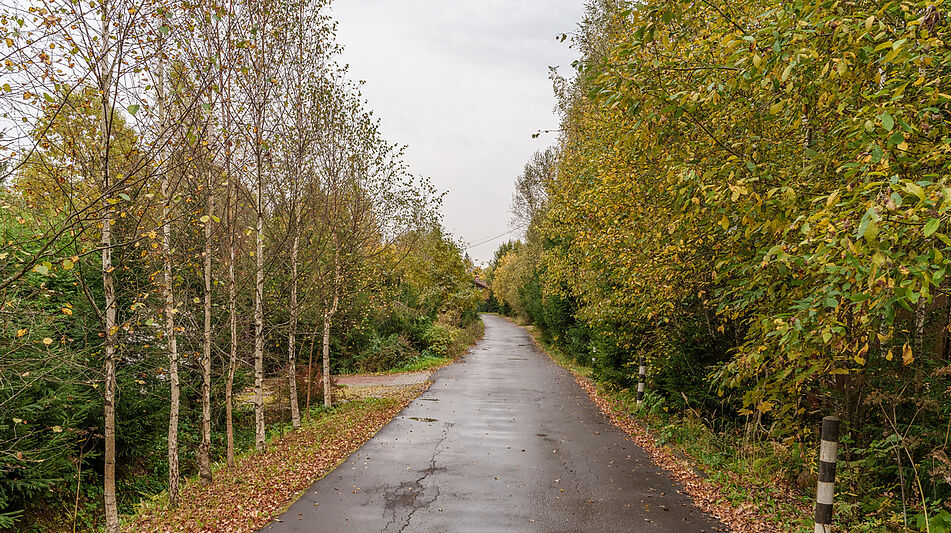 Дом из бруса в КП Домик в лесу