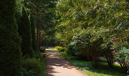 Олимпийская деревня Новогорск