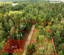 Лесной участок