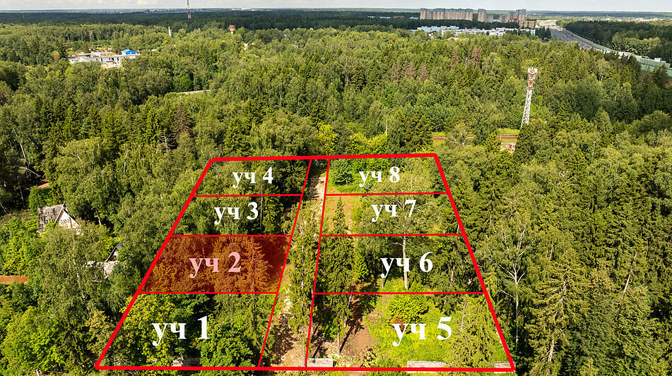 Лесной участок