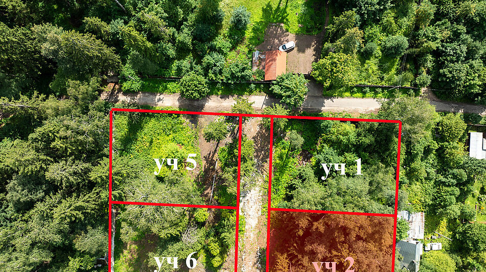 Лесной участок