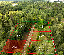 Лесной участок