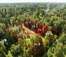 Лесной участок