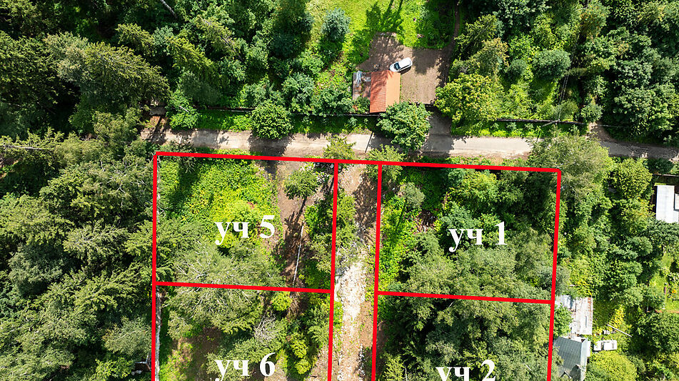 Лесной участок