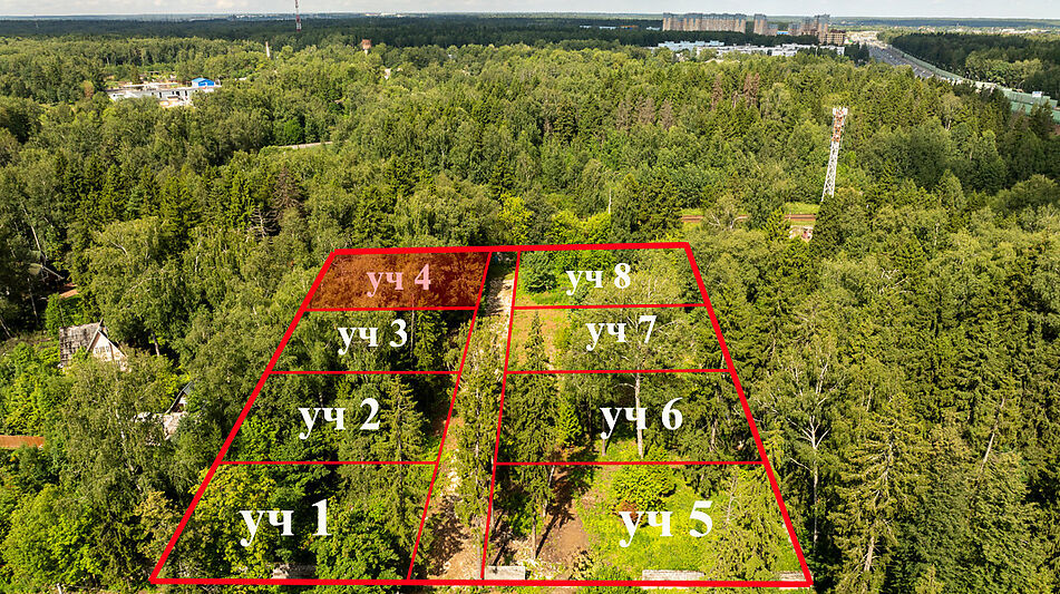 Лесной участок