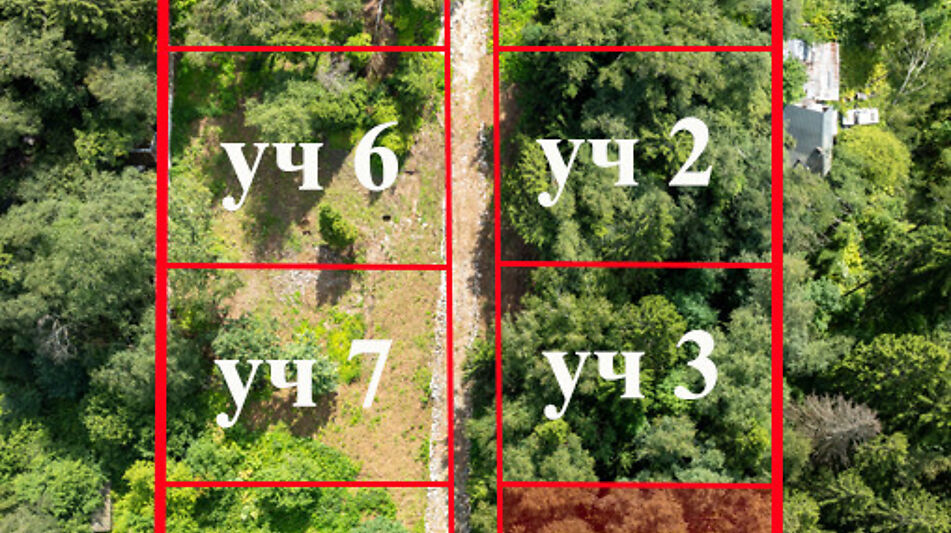 Лесной участок