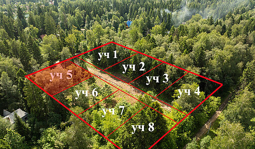 Лесной участок