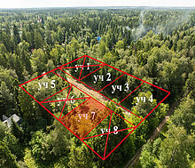 Лесной участок