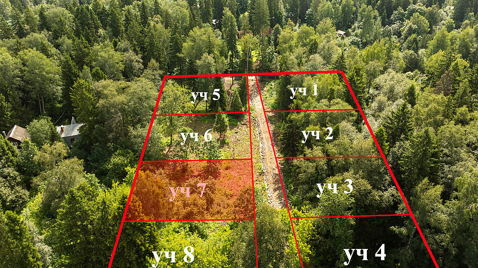 Лесной участок