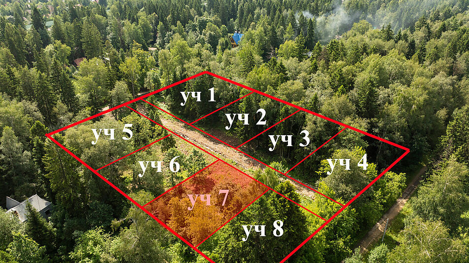 Лесной участок