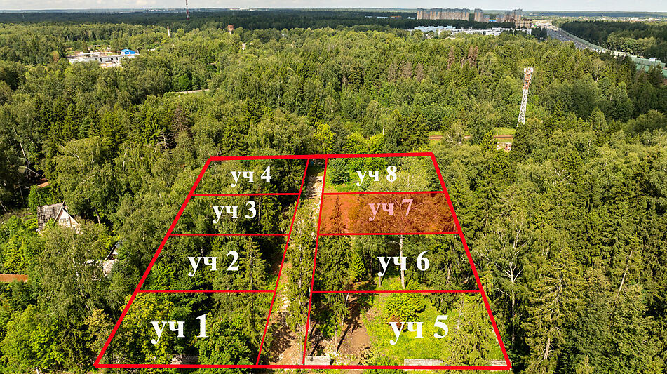 Лесной участок