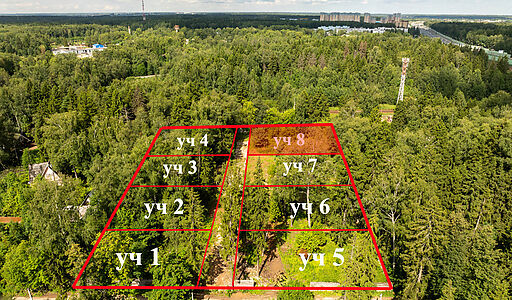 Лесной участок