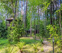 Усадьба в Павлово-1