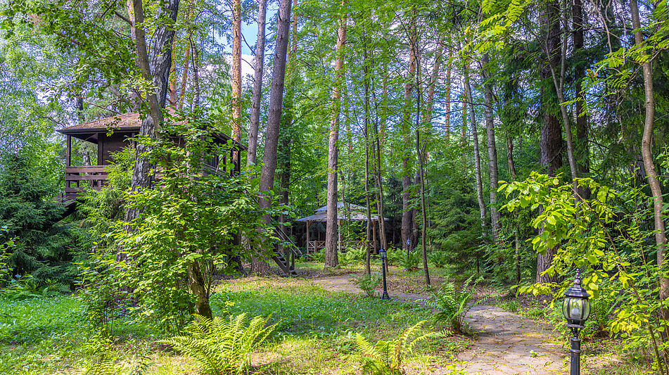 Усадьба в Павлово-1