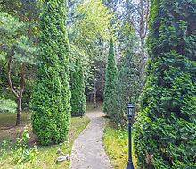 Усадьба в Павлово-1