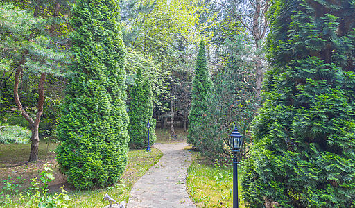 Усадьба в Павлово-1