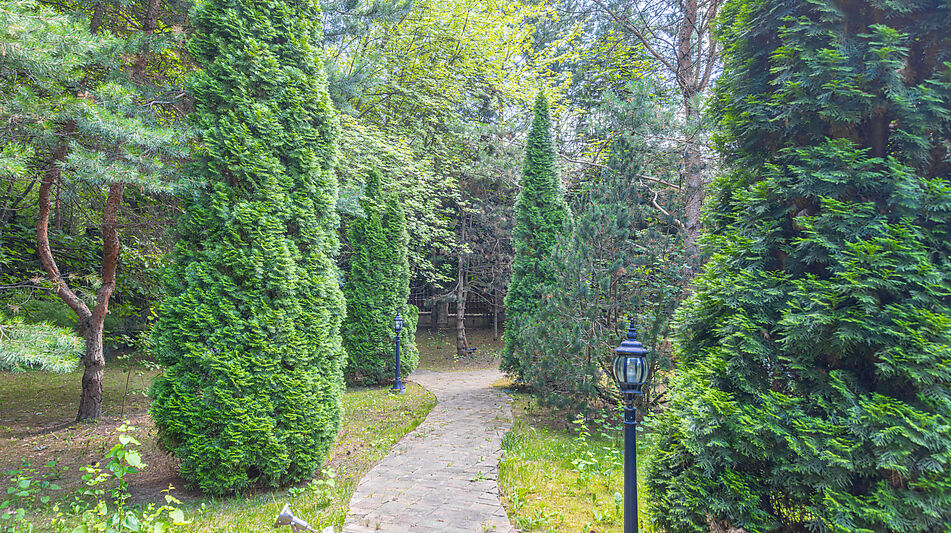 Усадьба в Павлово-1