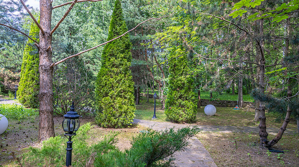 Усадьба в Павлово-1