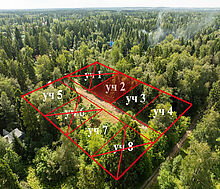 Лесной участок в п.Трудовая Южная