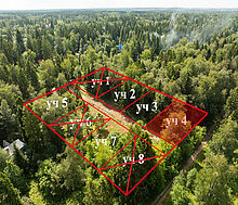 Лесной участок в Трудовой Южной