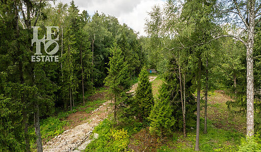 Лесной участок в Трудовой Южной