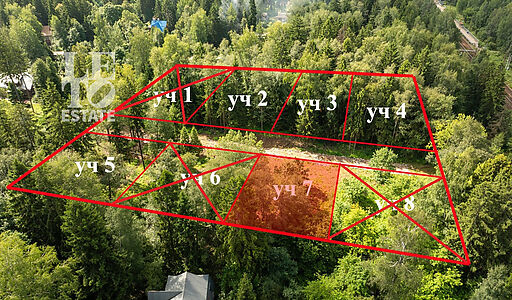 Лесной участок в Трудовой Южной