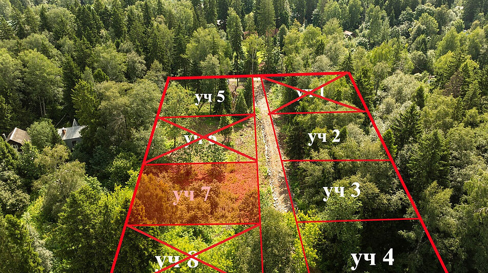 Лесной участок в Трудовой Южной