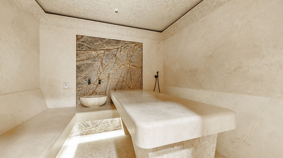 Дизайнерский дом в поселке Величъ