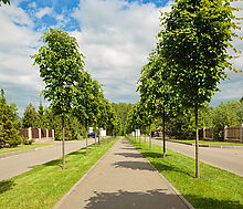 Современный дом у воды в Пестово