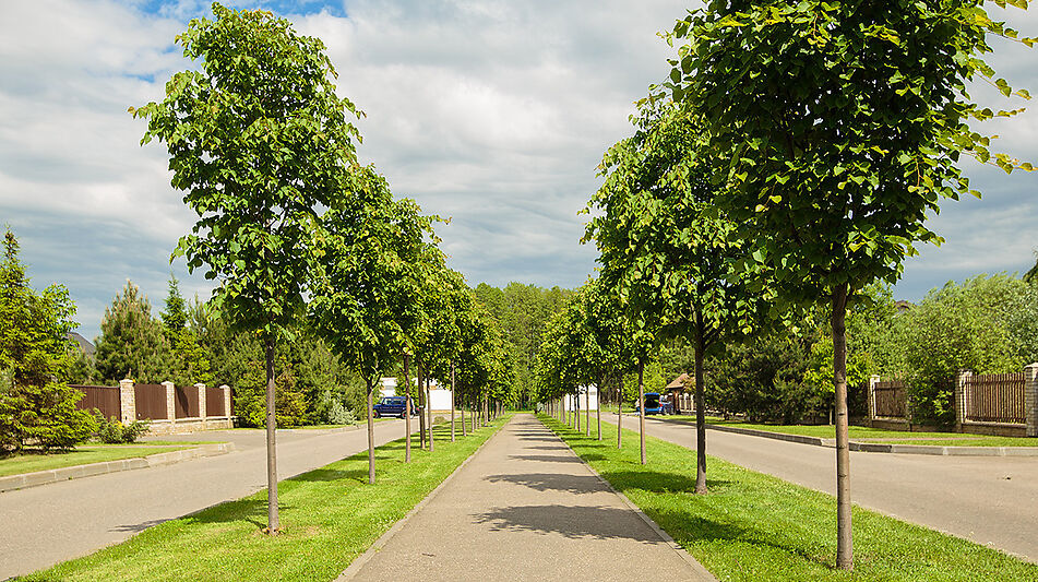 Современный дом у воды в Пестово