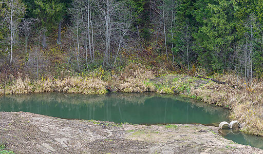 Дивноречье