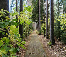 Дом на первой линии в Трудовой