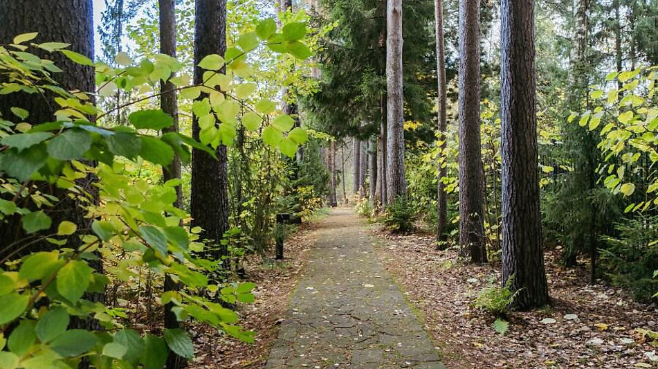 Дом на первой линии в Трудовой