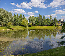 Дом из бруса в КП Новорижский