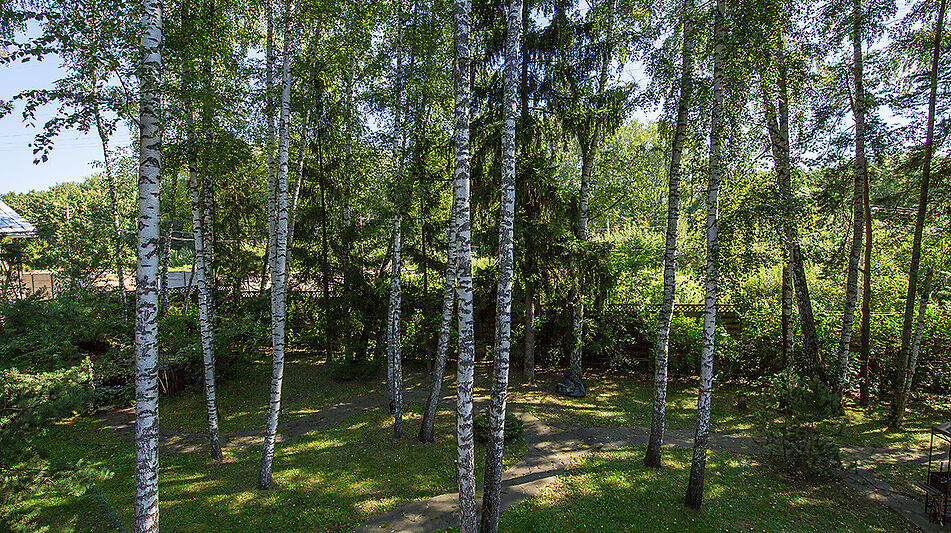 Готовый дом в Новоалександрово