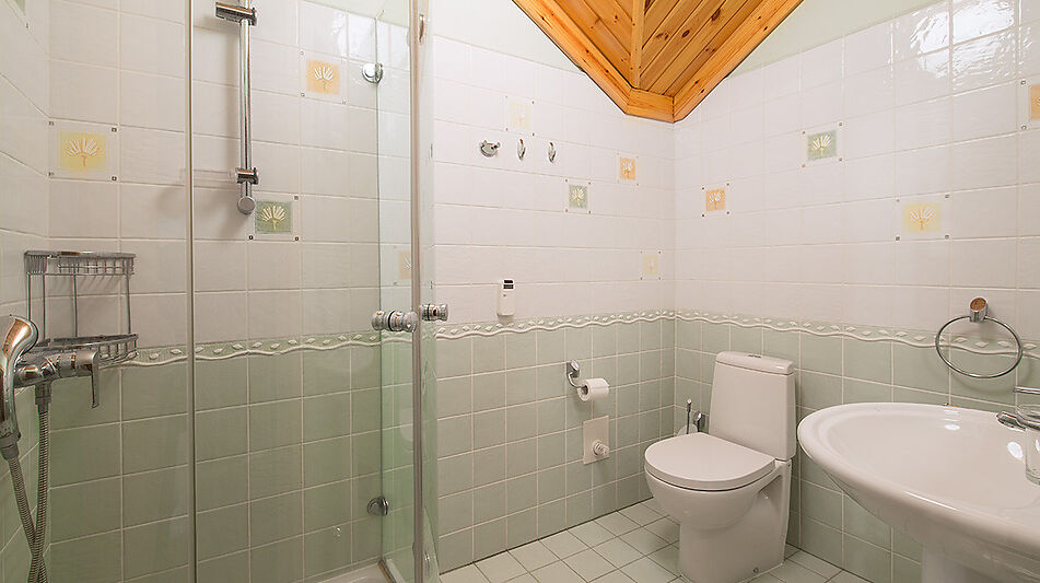 Готовый дом в Новоалександрово