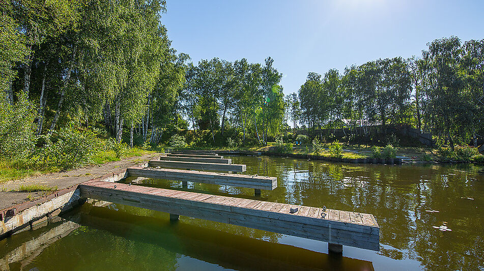 Готовый дом в Новоалександрово